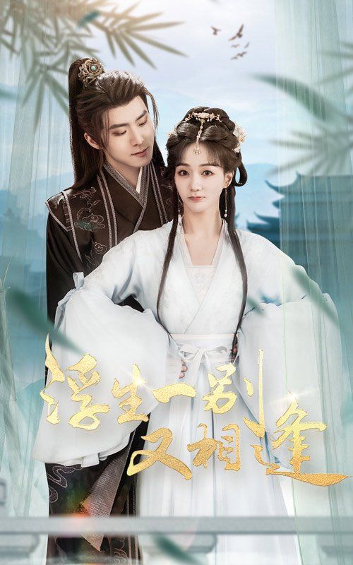 浮生一別又相逢(全集)