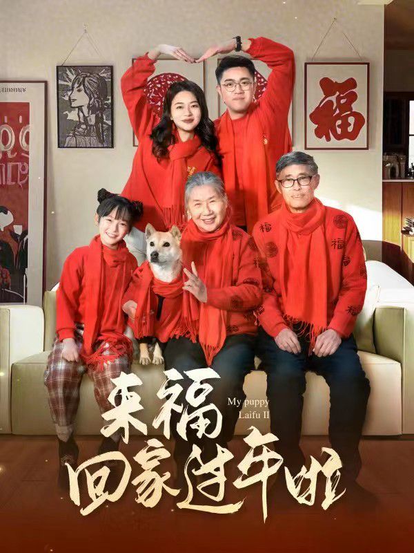 來(lái)?；丶疫^(guò)年啦(全集)