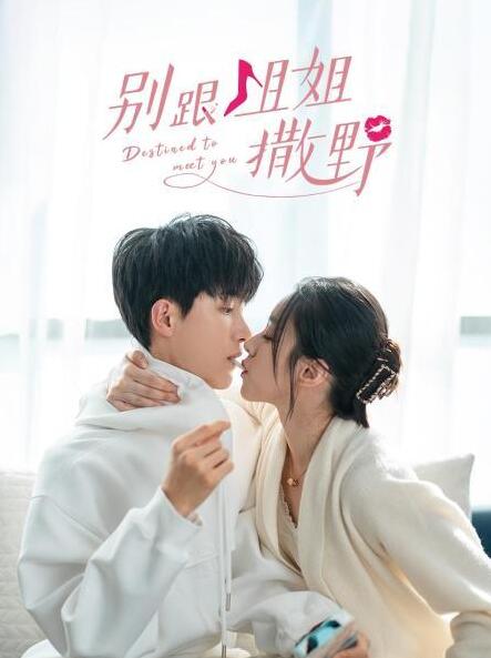 別跟姐姐撒野(全集)