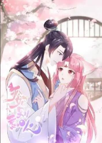 狐妃，別惹火