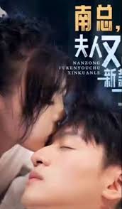 南總，夫人又出新款了(全集)