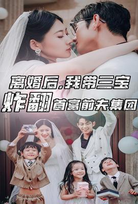 離婚后，我?guī)龑氄ǚ赘磺胺蚣瘓F(全集)