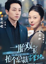 一胎雙寶，搶個總裁當?shù)?全集)