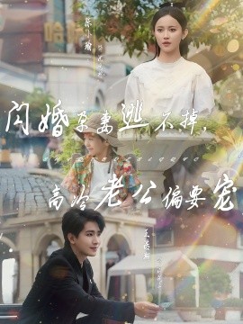 閃婚孕妻逃不掉，高冷老公偏要寵(全集)