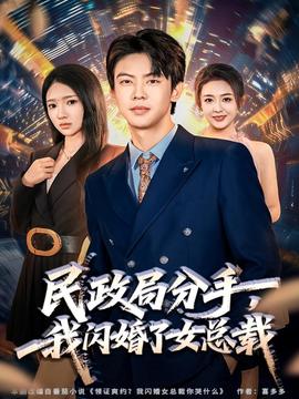 民政局分手，我閃婚了女總裁(全集)