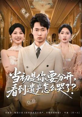 當(dāng)初是你要分開，看到遺產(chǎn)怎么哭了？(全集)