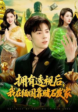 擁有透視后，我在緬國靠賭石發(fā)家(全集)