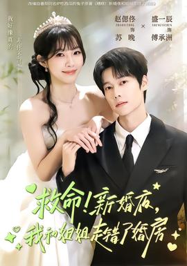 救命！新婚夜，我和姐姐走錯(cuò)了婚房(全集)