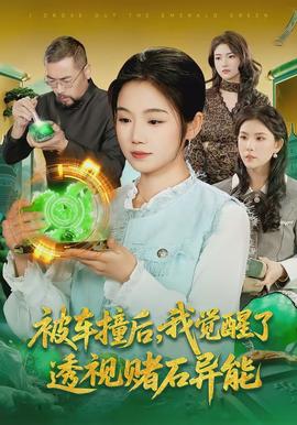 被車撞后，我覺醒了透視賭石異能了(全集)