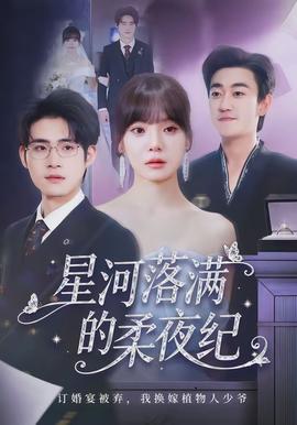 星河落滿的柔夜紀(全集)