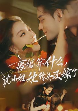 離婚算什么，沈小姐她轉(zhuǎn)頭改嫁了(全集)