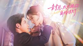 封總，太太跟你離婚很久了(全集)