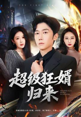 超級狂婿歸來(全集)